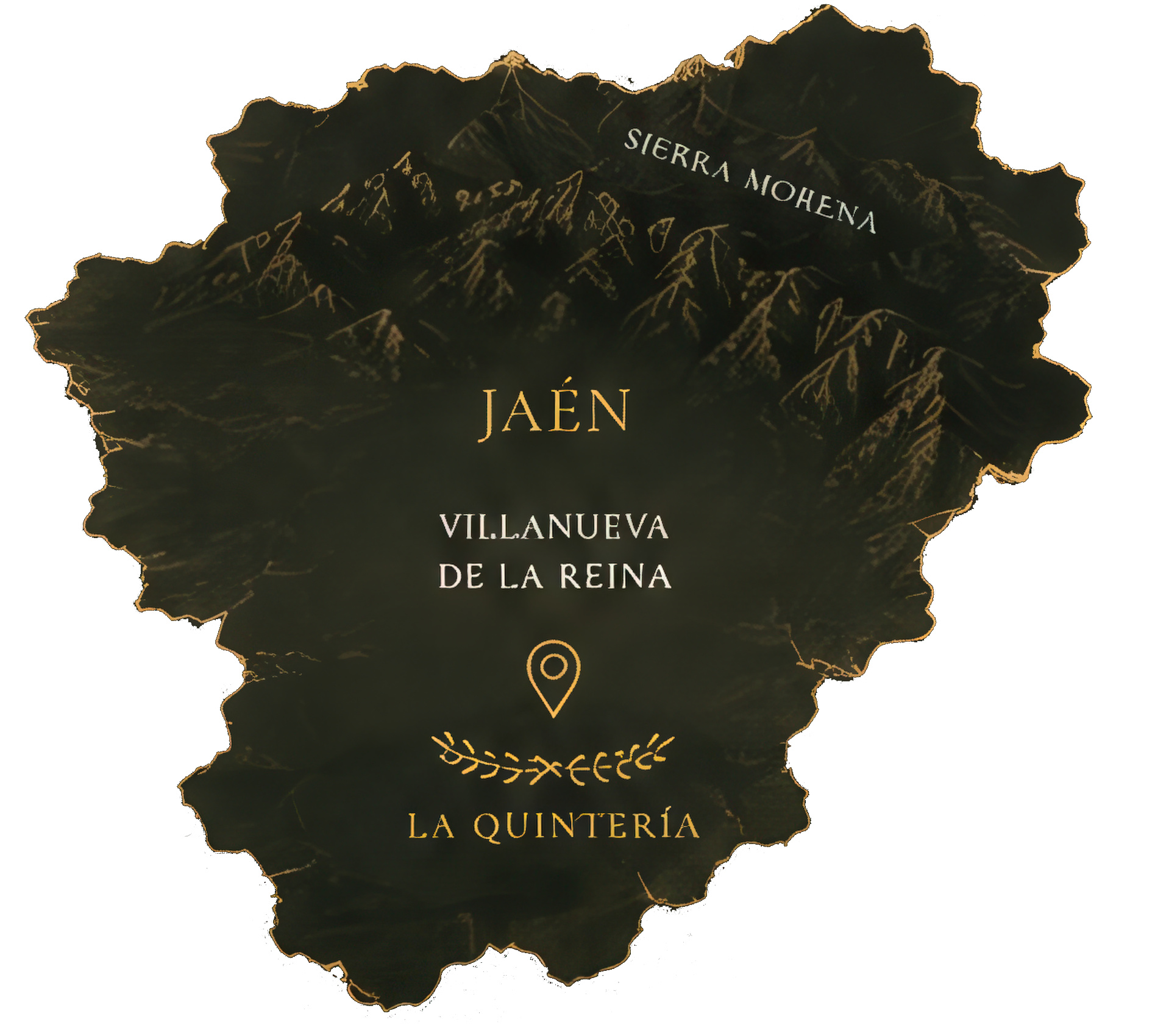 Estuche Aceite de Oliva Virgen Extra Premium Hacienda Lara - Imagen 4
